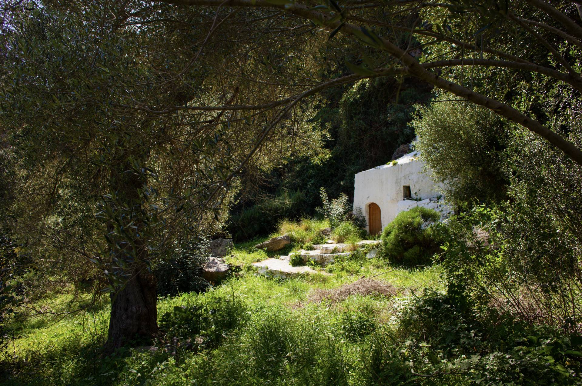 
Mirthea Suites Mirthios Plakias South Crete Experiences Excursions 37