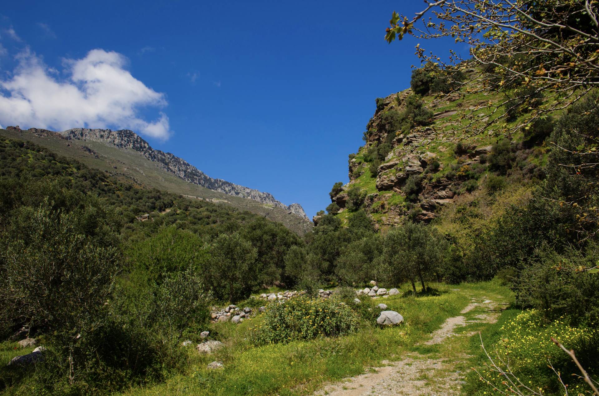 
Mirthea Suites Mirthios Plakias South Crete Experiences Excursions 50